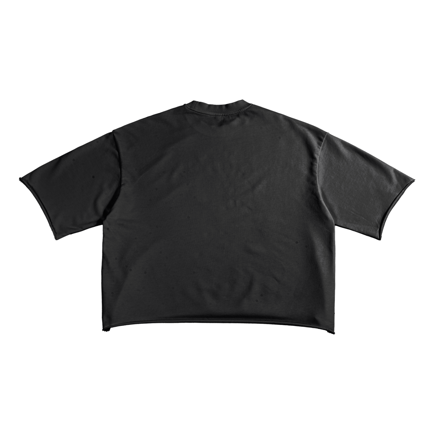 French Terry Raw Hem T-Shirt