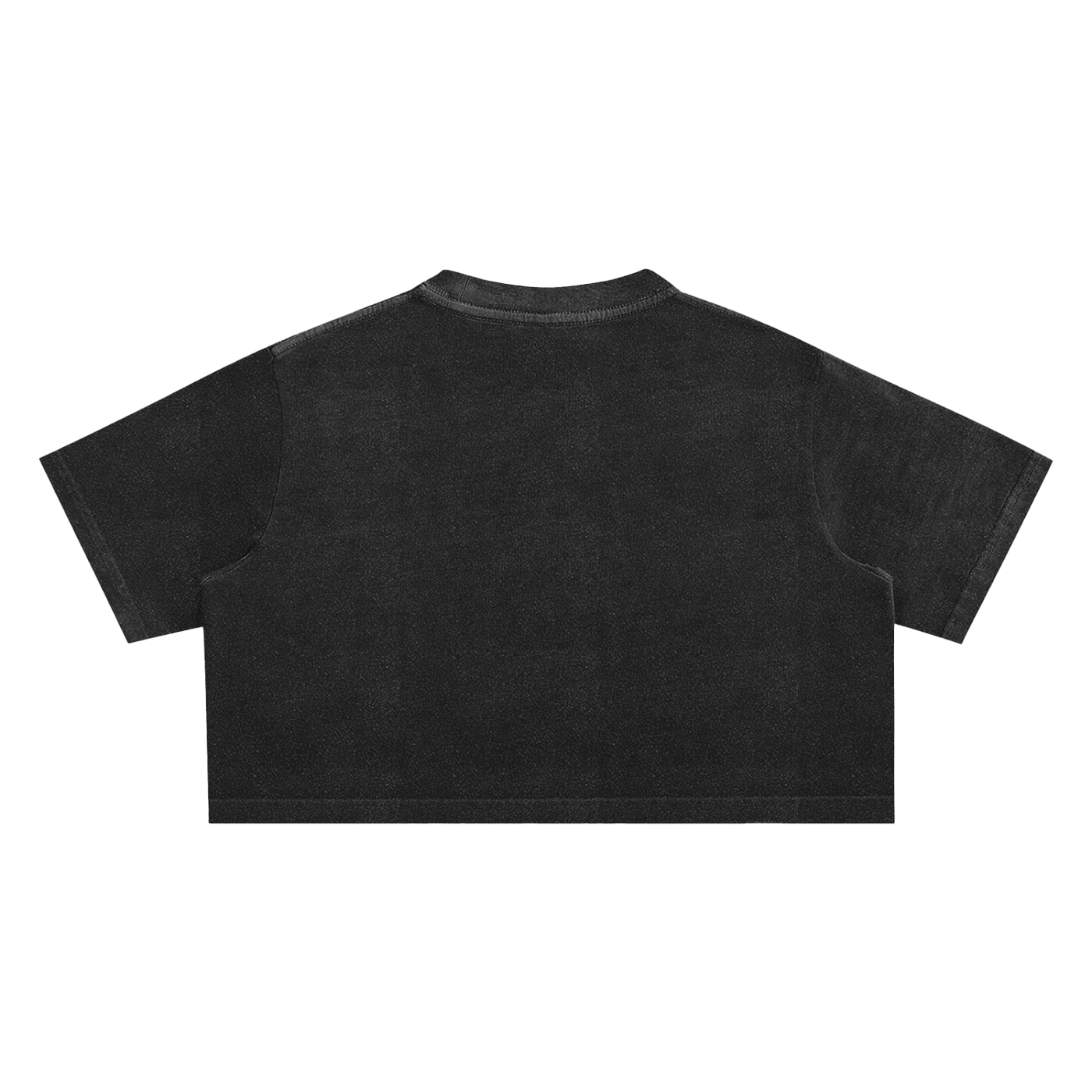 Washed Crop Top